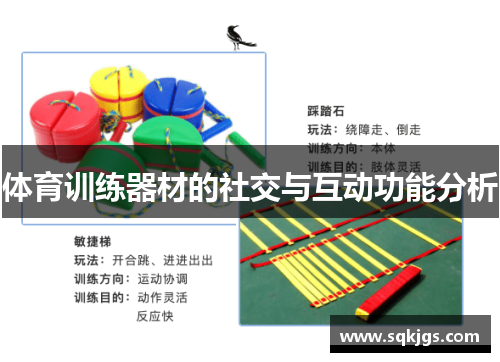 体育训练器材的社交与互动功能分析