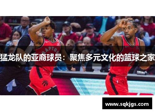 猛龙队的亚裔球员：聚焦多元文化的篮球之家