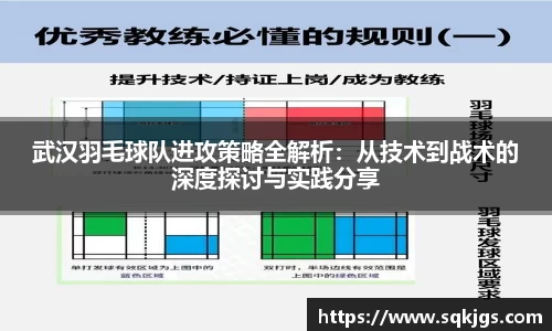 3377体育